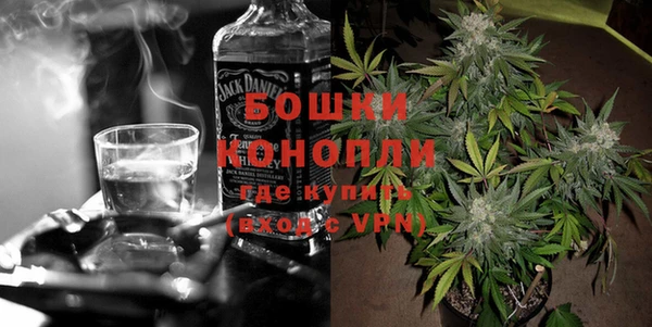 прущий лед Богданович