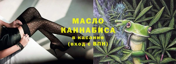 прущий лед Богданович