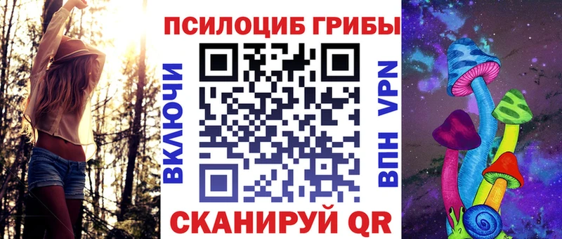 продажа наркотиков Дивногорск Псилоцибиновые грибы MAGIC MUSHROOMS